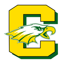 Load image into Gallery viewer, High School Logo Blanket