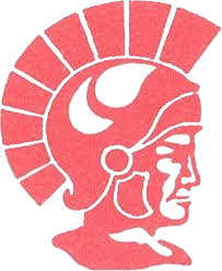 High School Logo Blanket