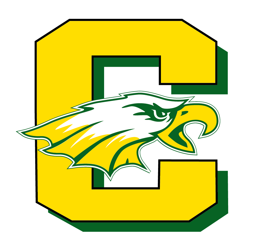 High School Logo Blanket