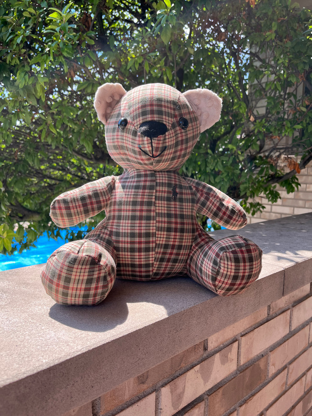 Melody Memory Bear - Plush Toy